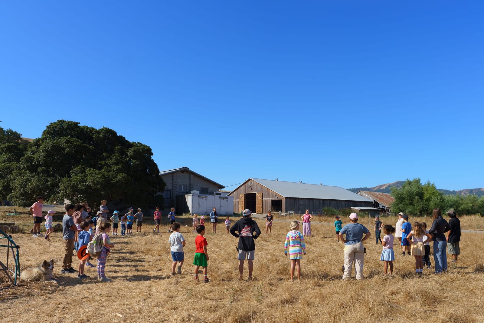Summer Camps in Petaluma, CA – A Complete Parent’s Guide