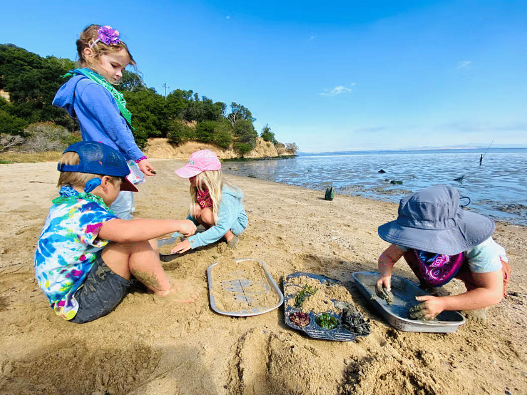 Ultimate Guide to Summer Camps in Marin County