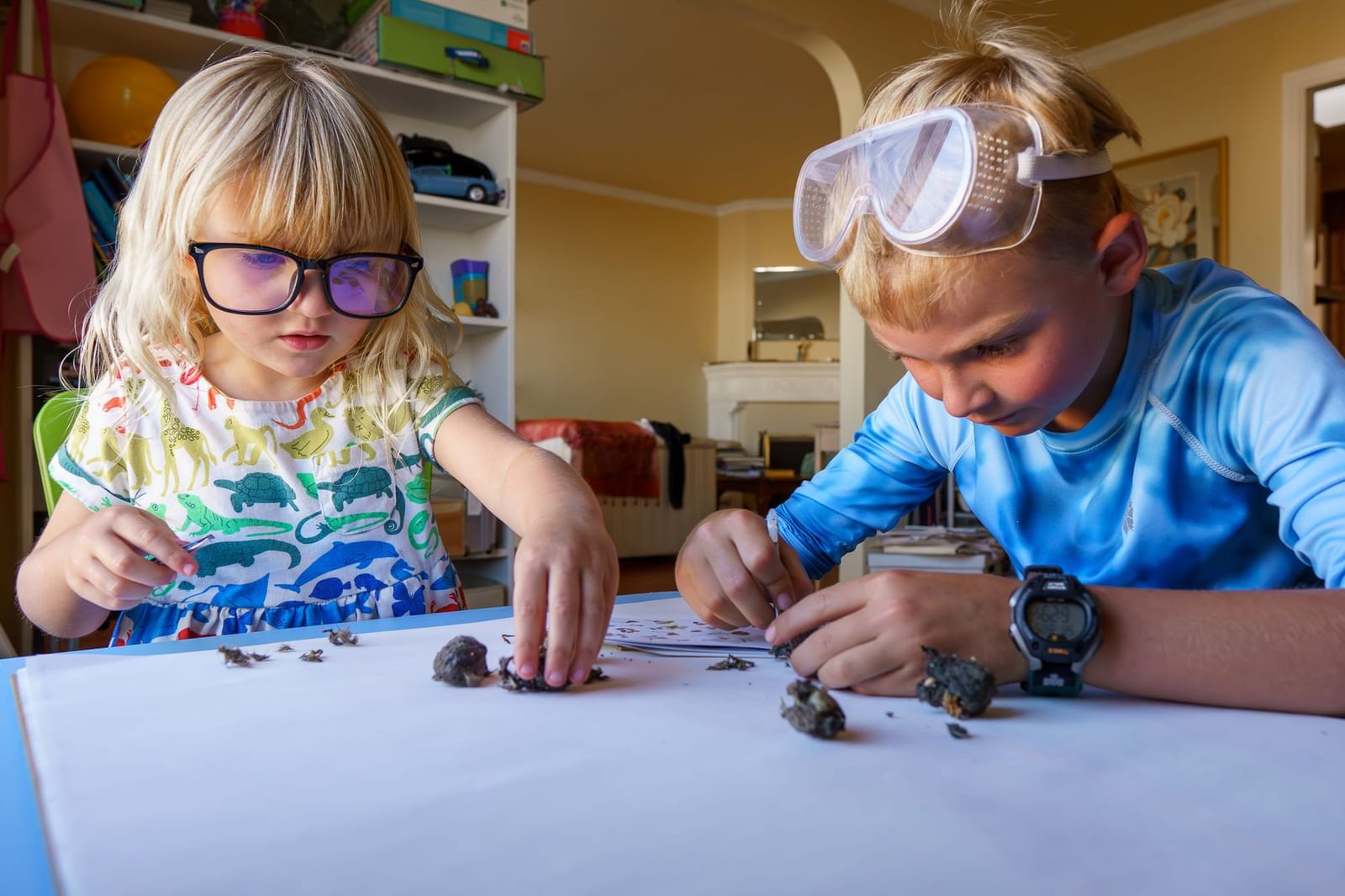 Ultimate Guide to Summer Camps in Walnut Creek, CA