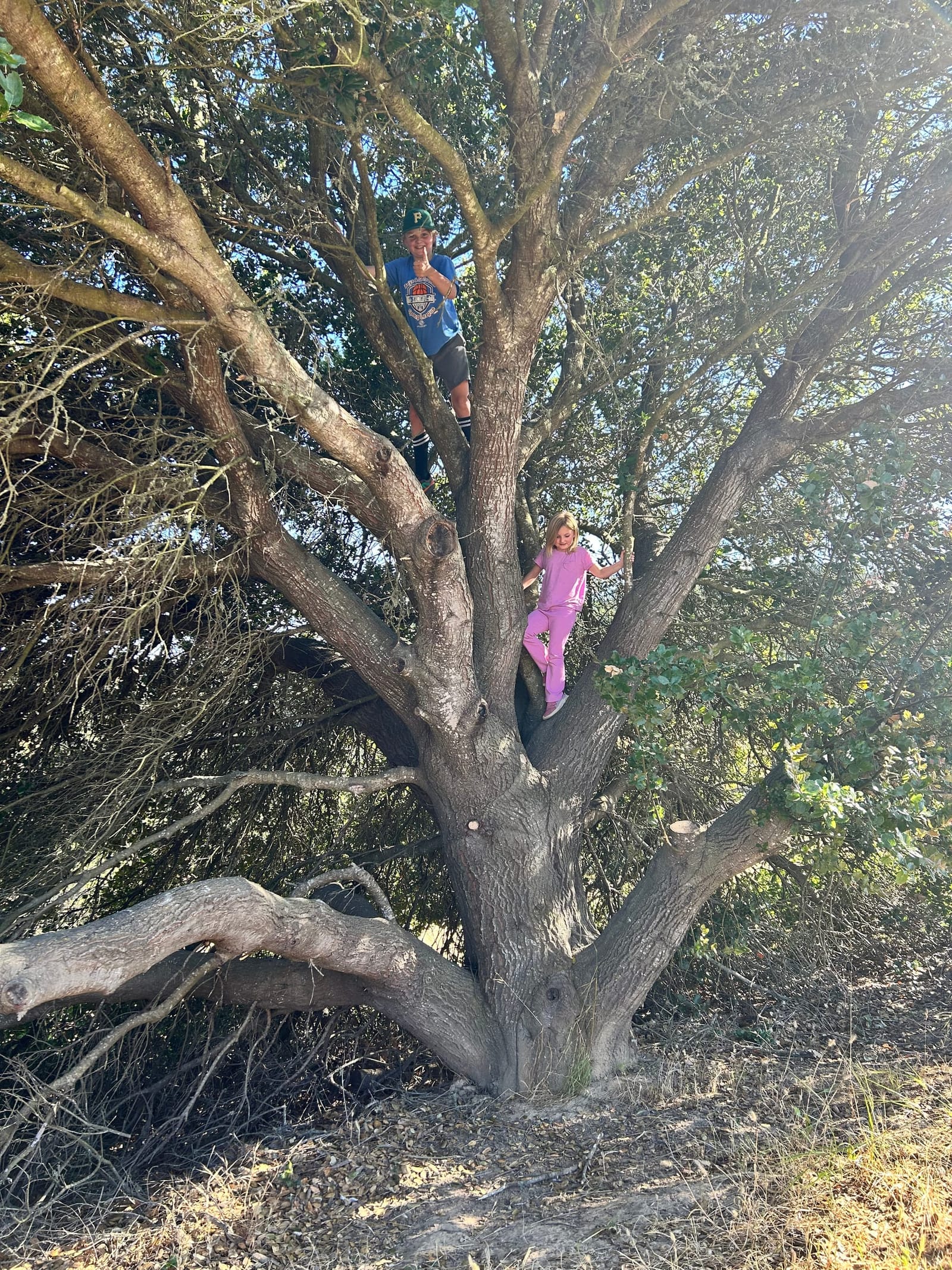 Winter Break Camps in Petaluma